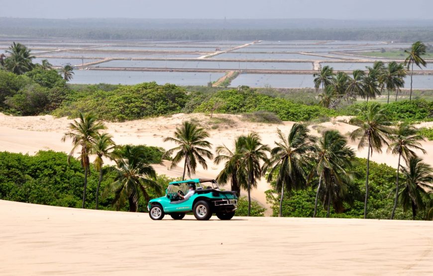 Passeio para Morro Branco e Praia das Fontes em 1 dia (Ida e Volta)