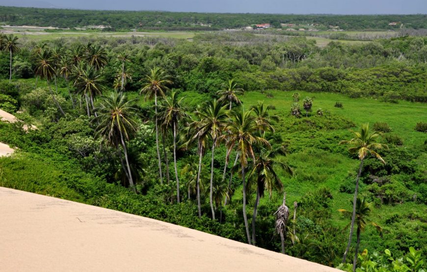 Passeio para Morro Branco e Praia das Fontes em 1 dia (Ida e Volta)