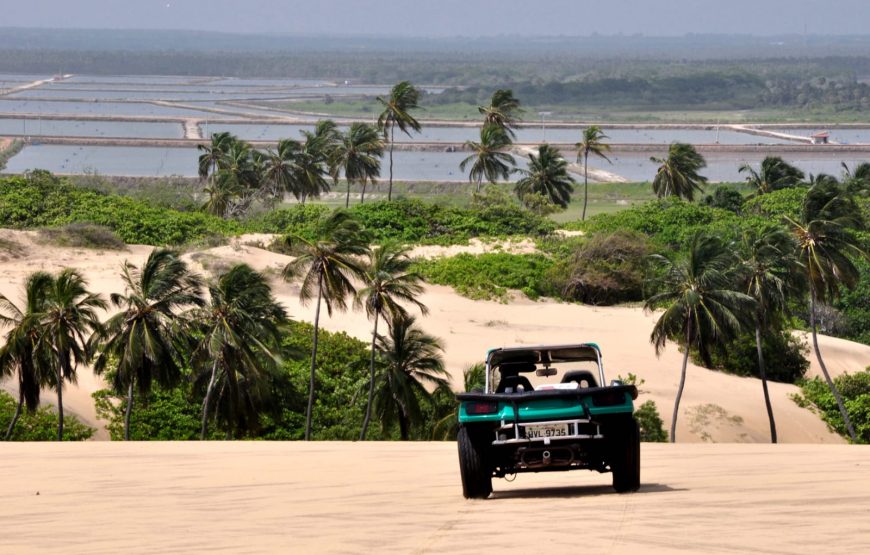 Passeio para Morro Branco e Praia das Fontes em 1 dia (Ida e Volta)