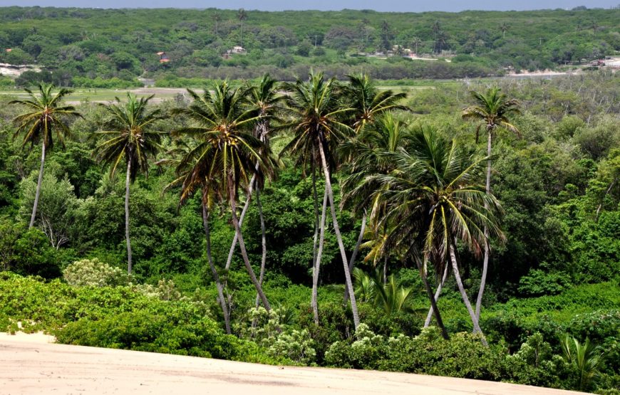 Passeio para Morro Branco e Praia das Fontes em 1 dia (Ida e Volta)